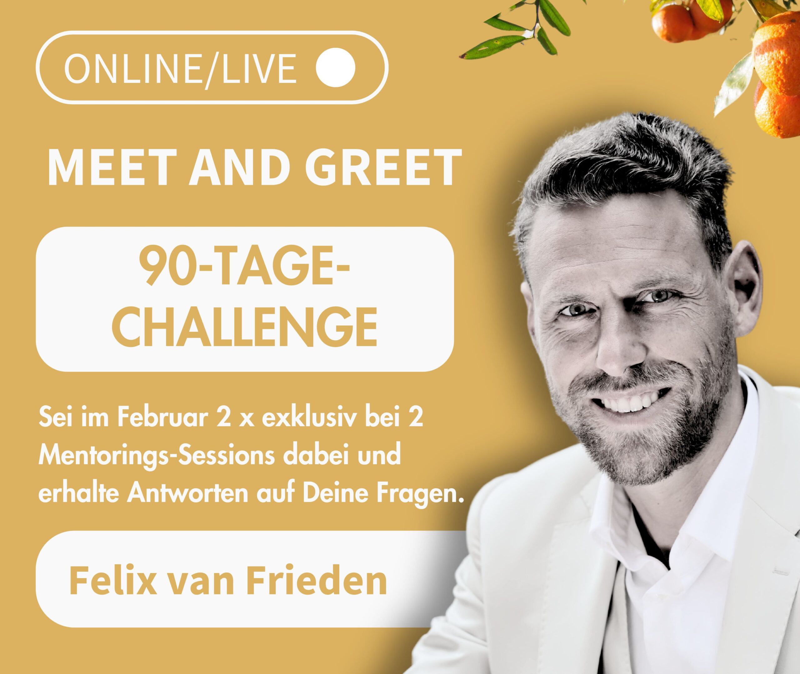 90-Tages-Challenge SP 6